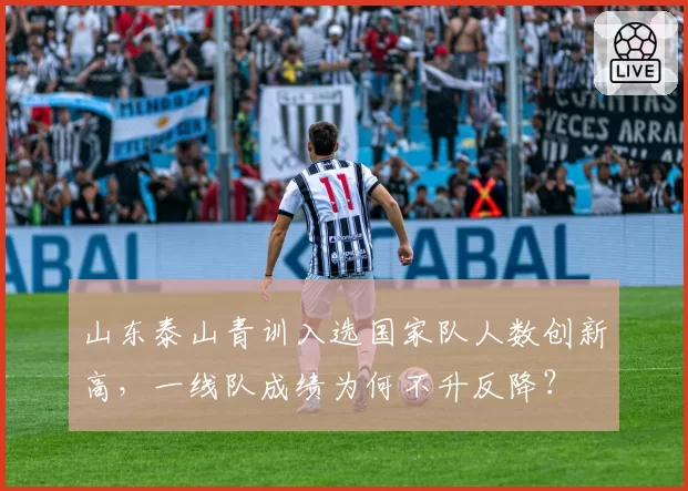 山东泰山青训入选国家队人数创新高，一线队成绩为何不升反降？