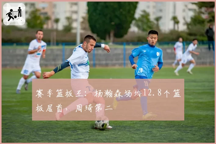 赛季篮板王:杨瀚森场均12.8个篮板居首,周琦第二