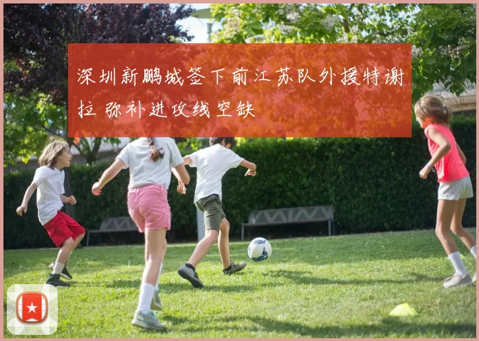 深圳新鹏城签下前江苏队外援特谢拉 弥补进攻线空缺