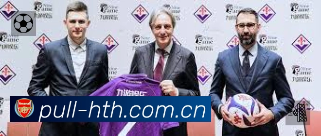 华体会网页版App亮点:多维搜索、热门结果与直达入口